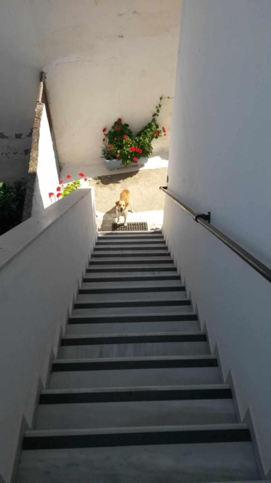 Kostas Studios Apartments - Ενοικιαζόμενα Δωμάτια Με Κουζινάκι Myrina Ngoại thất bức ảnh